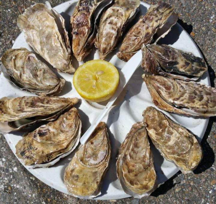 Plats faits maison aux saveurs régionales